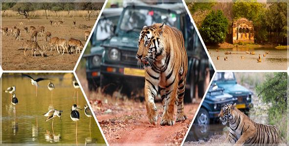 1467805185_1ran 2.jpg